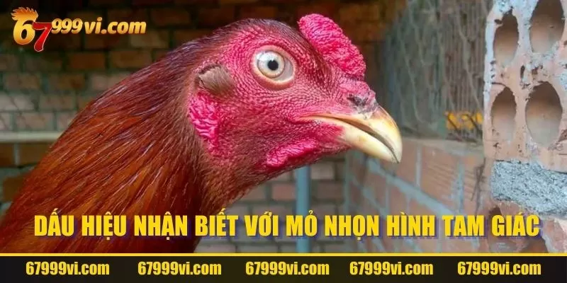 Dấu hiệu nhận biết dựa vào mỏ gà