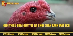 Giới thiệu khái quát về gà chọi chân xanh mắt ếch