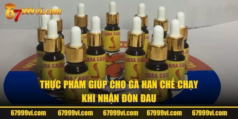 Thực phẩm giúp cho gà hạn chế chạy khi nhận đòn đau