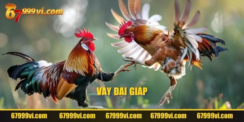 Vảy đại giáp