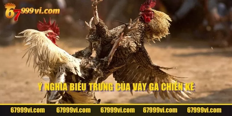 Ý nghĩa biểu trưng của vảy gà chiến kê