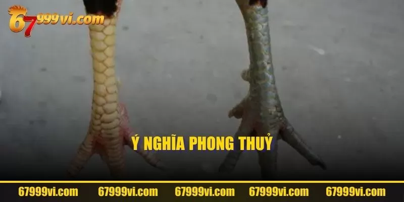 Ý nghĩa phong thuỷ