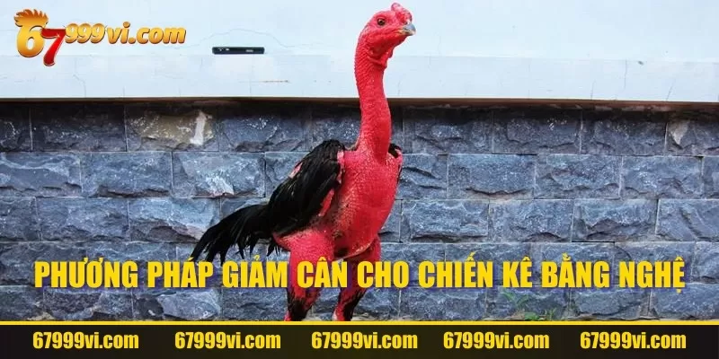 Phương pháp vào nghệ của chiến kê phổ biến