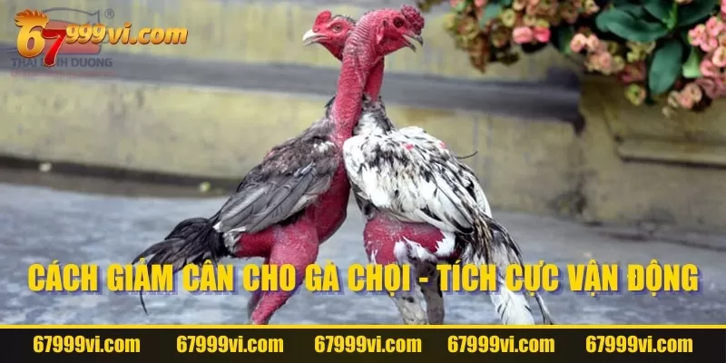 Tích cực vận động chính là điều quan trọng