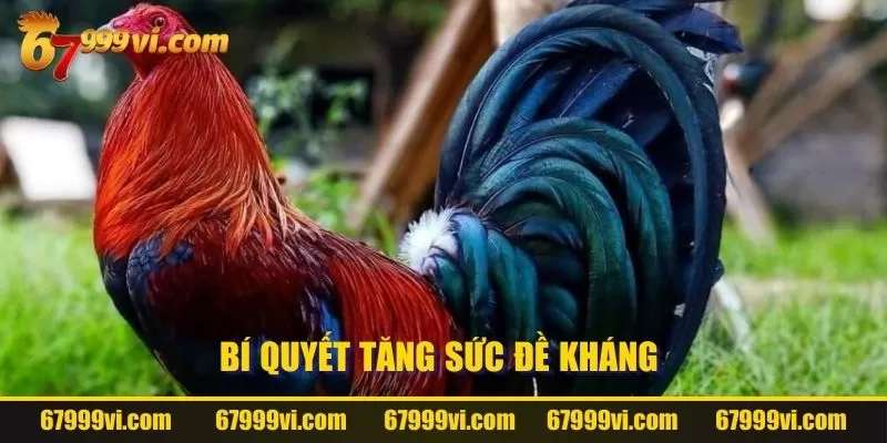 Bí quyết tăng sức đề kháng