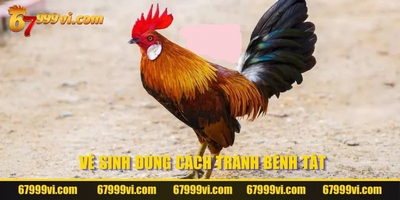 Vệ sinh đúng cách tránh bệnh tật