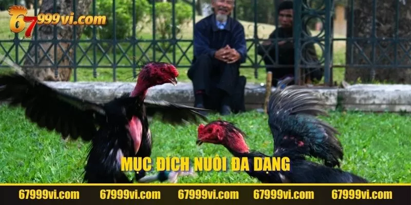 Mục đích nuôi đa dạng