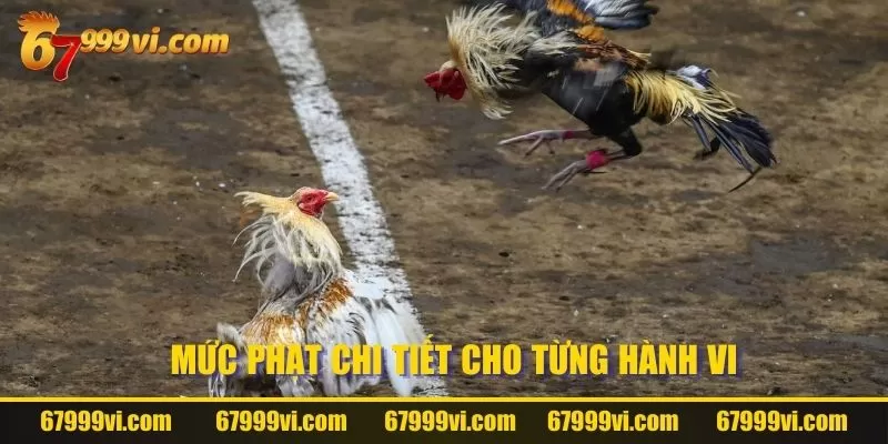 Mức phạt chi tiết cho từng hành vi